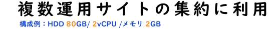 VPSを複数運用サイトの集約で使用