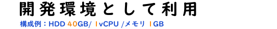 VPSを開発環境で使用